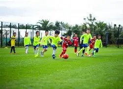 罗尤文战马,竞脚踝受伤,角旗杆恶意,星际娱乐官网,星际娱乐官网在线娱乐平台