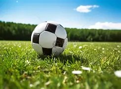 卡迪夫城,亿索赔被驳,向南特赔偿,星际娱乐官网,星际娱乐官网在线娱乐平台