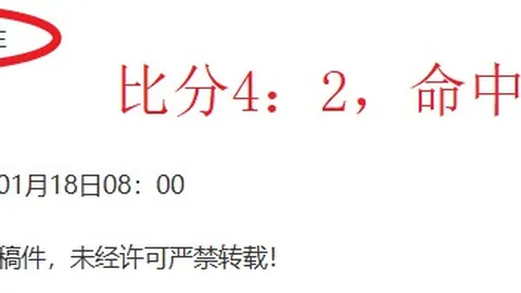 不莱梅奥格斯堡德甲解析，大乐透专家质合推荐及比分